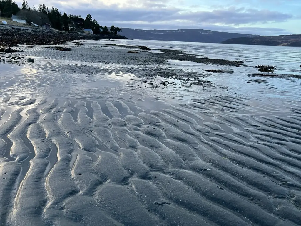 Tidal shoreline ridges representing structured product delivery and control.